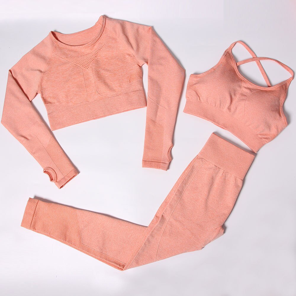 Gym Clothing Track Suit High Waist Pants Sports Bras Workout Set