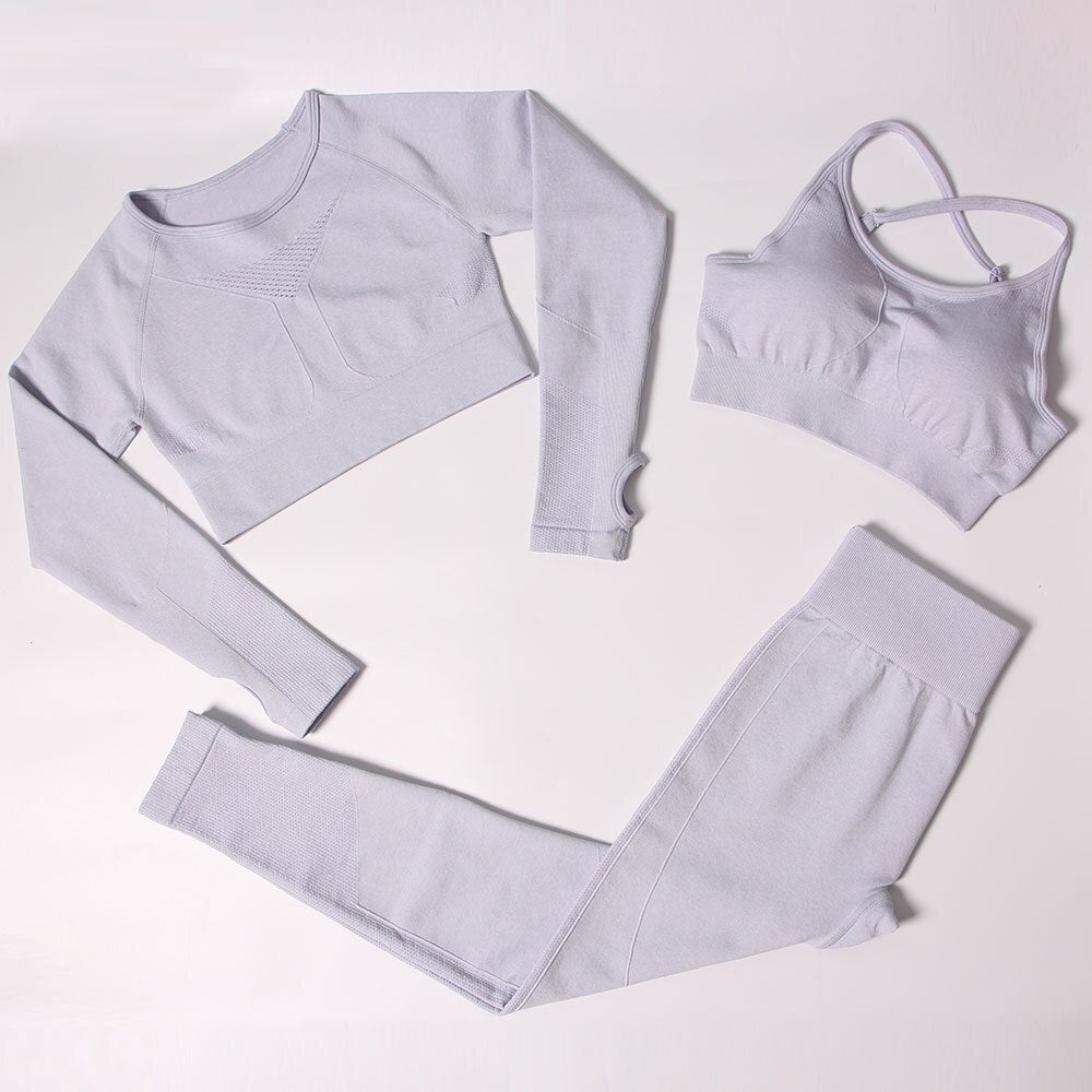 Gym Clothing Track Suit High Waist Pants Sports Bras Workout Set